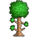 Terraria